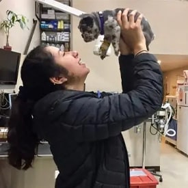 Veterinary services for cats and dogs in Newhall