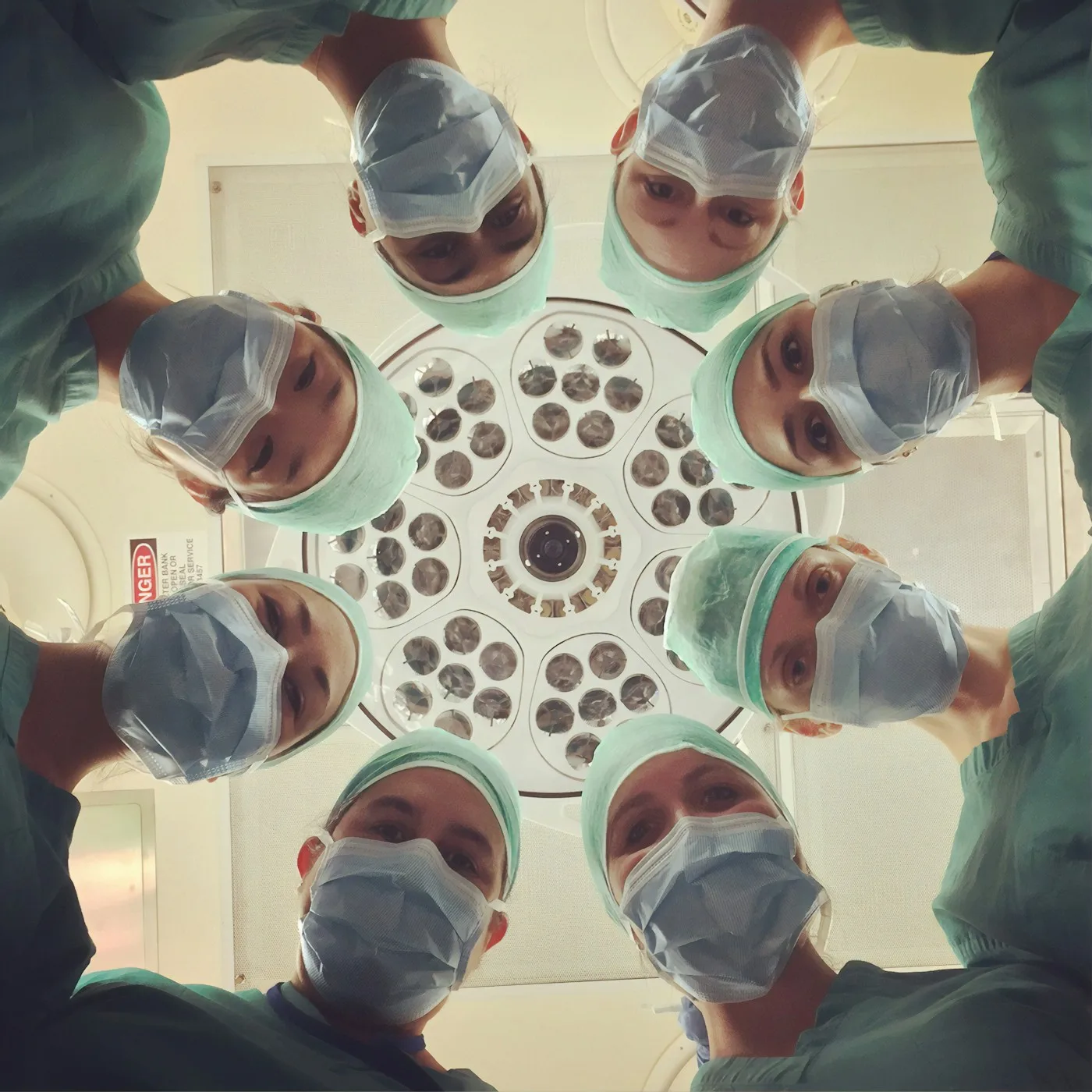 CT scan & Endoscopy For Pets In Newhall, CA — CT Scan & Endoscopy