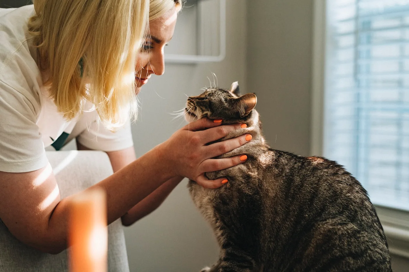 Your Annual Wellness Visit